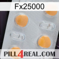 Fx25000 24